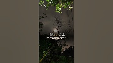 سورة الأحقاف القارئ أحمد خضر {يا قومنا اجيبوا داعي الله وامنوا به}