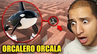 Download Lagu Stuck in a MAZE With ORCALERO ORCALA... MP3 Download Lagu Stuck in a MAZE With ORCALERO ORCALA... MP3