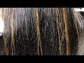 Hair colour highlights | Streaks hair colour highlights | Cocoon Salon