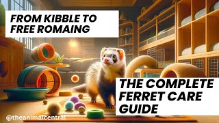 From Kibble to Free Roaming: The Complete Ferret Care Guide