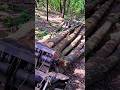 Ťažba dreva, Amles, Forestwork,Orvex LT 100, #shorts, #amles #forest #felling #logging #lkt #skidder