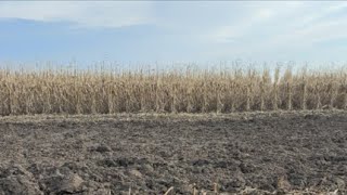 Коли Закривати Вологу , Якщо Попереду Дощі?