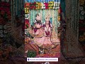 #radhakrishna #vrindavan #trending #ytshorts #youtubeshorts #barsana #radheradhe #madhav