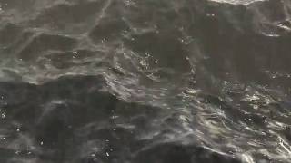 Stormy Seas Test