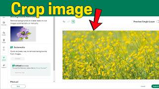 How to Crop an Image in Cricut Design Space (step by step)