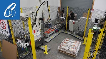 Bean Robotic Palletizing with Square Roller Conveyors