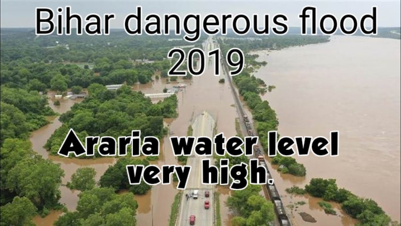 Araria fighting with flood 2019 |Rare video from bidi bhojpur. 