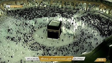 سورة النمل بصوت القارئ أحمد محمد عامر