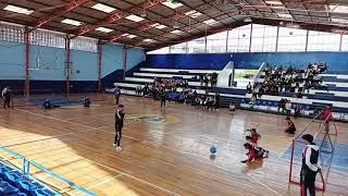 Fénix Vs  Inmortales masculino