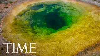 Man In Critical Condition After Falling Into Hot Spring At Yellowstone National Park | TIME