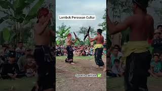 Sports Lombok Peresean Culture #lombok #peresean #sasak #sport #sports #culture