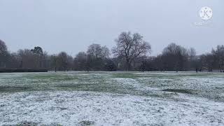 UK Lockdown London First Time Snow of 2021 Blizzard Beast Storm Darcy / ロックダウンのイギリス、ロンドン初雪の中いつもの散歩