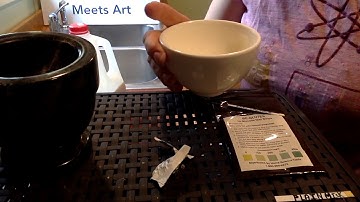 Lactase Enzyme Turns Lactose into Glucose