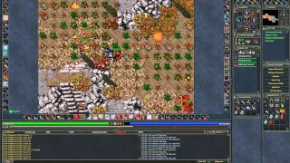 [Tibia] How to get to Morax, Eruaran, and the Dream Butterfly