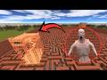 Surviving SCP-096 On Top Of A Massive 350 Foot Maze Tower! #mR.omor#USA#usa