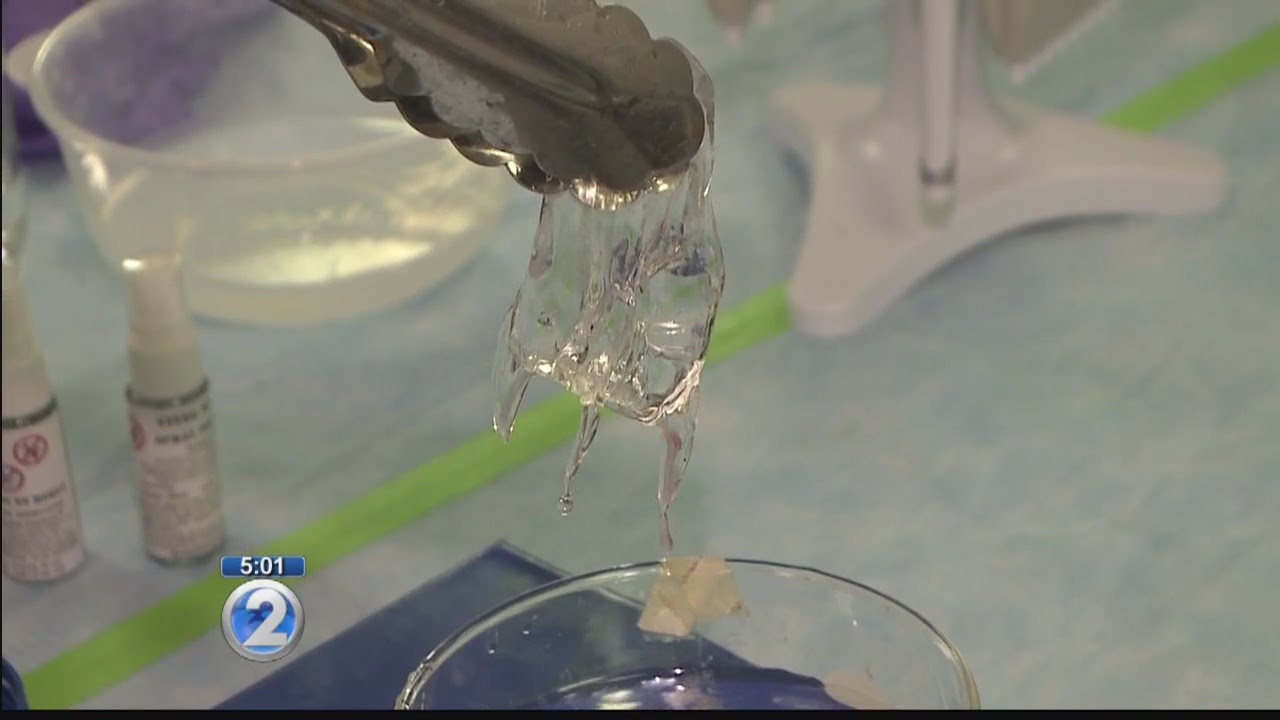 All about stinging box jellyfish on Oʻahu beaches - Hawaiʻi on the Cheap