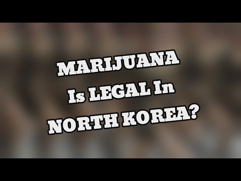 marijuana-is-legal-in-north-korea?-|-20-odd-facts
