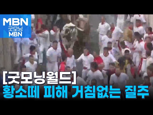 [굿모닝월드] 황소떼 피해 거침없는 질주 [굿모닝 MBN]