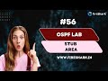 Cisco Router में Stub Area Setup | OSPF Performance कैसे बेहतर करें