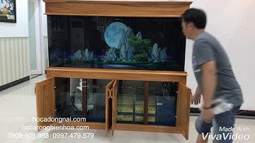 Hồ cá rồng 1m76 lắp đặt tại nhà anh Chiến Biên Hoà