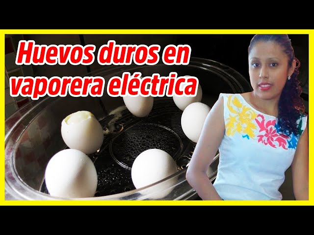 Hervidor De Huevos Vaporera Huevera Eléctrica (14 Huevos)