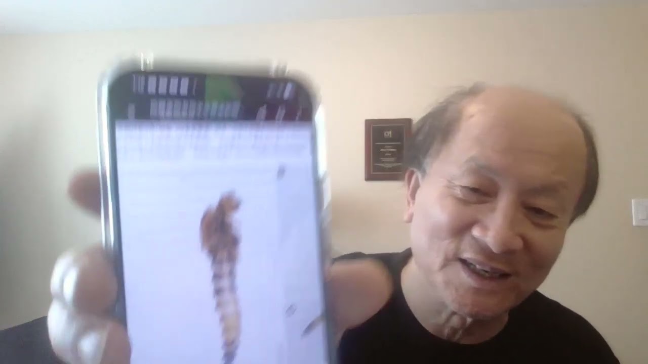 人民网标题骂习，新华社等官媒多文捧胡春华，胡锦涛要换人见川普？