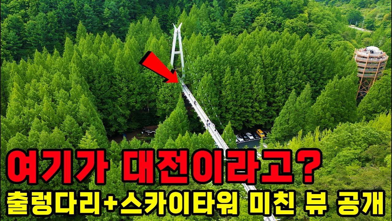 200만명이 다녀간 대전 숨은 명소… 출렁다리+스카이타워 미친 뷰+스릴 직접 가봤습니다