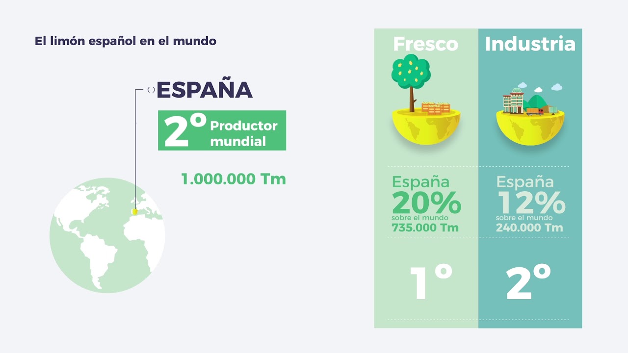 Importancia Socioeconómica del Limón de España®
