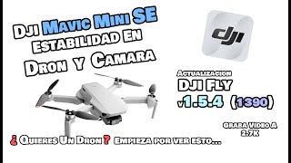 Prueba De Estabilidad Dron y Camara Mavic Mini SE - Dji Fly 1.5.4