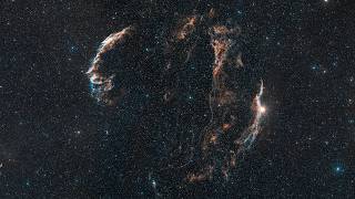 Cygnus + Morph