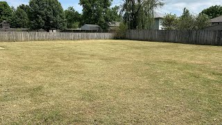 This is why you do not mow wet grass when lawn is overgrown/ Mowing a Thick yard wet yard