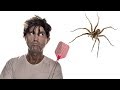 Download This Is Why You Should Never Kill A Spider This Is Why You Should Never Kill A Spider