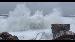 Maine Storm - January 10, 2024 - Acadia National Park