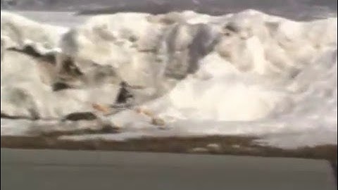 Honeybee cp2 with crash