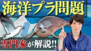 海洋プラスチック問題とは？その現状と課題を専門家が解説！