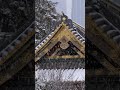 Редчайшее явление - снегопад в Токио