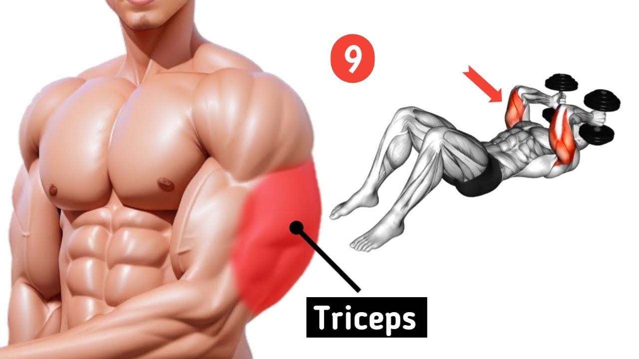 Exercises to Get Huge TRICEPS Faster | - YouTube