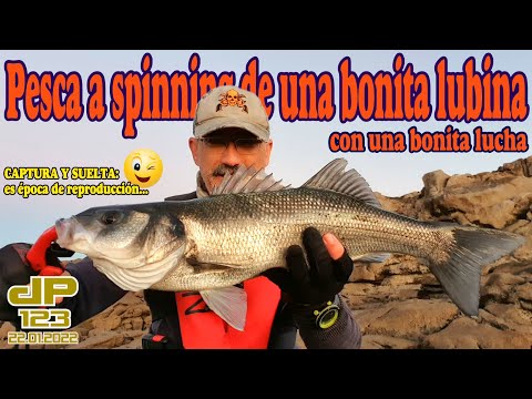 Pesca a spinning