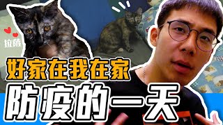 防疫的一天房間大公開!竟然還做了這件事..!#好家在我在家|田鎬TAM