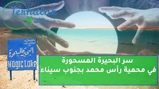 سر البحيرة المسحورة في محمية رأس محمد بجنوب سيناء