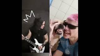 #funny Dog Metal