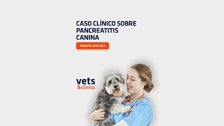 14. #Clips4Vets: Pancreatitis canina