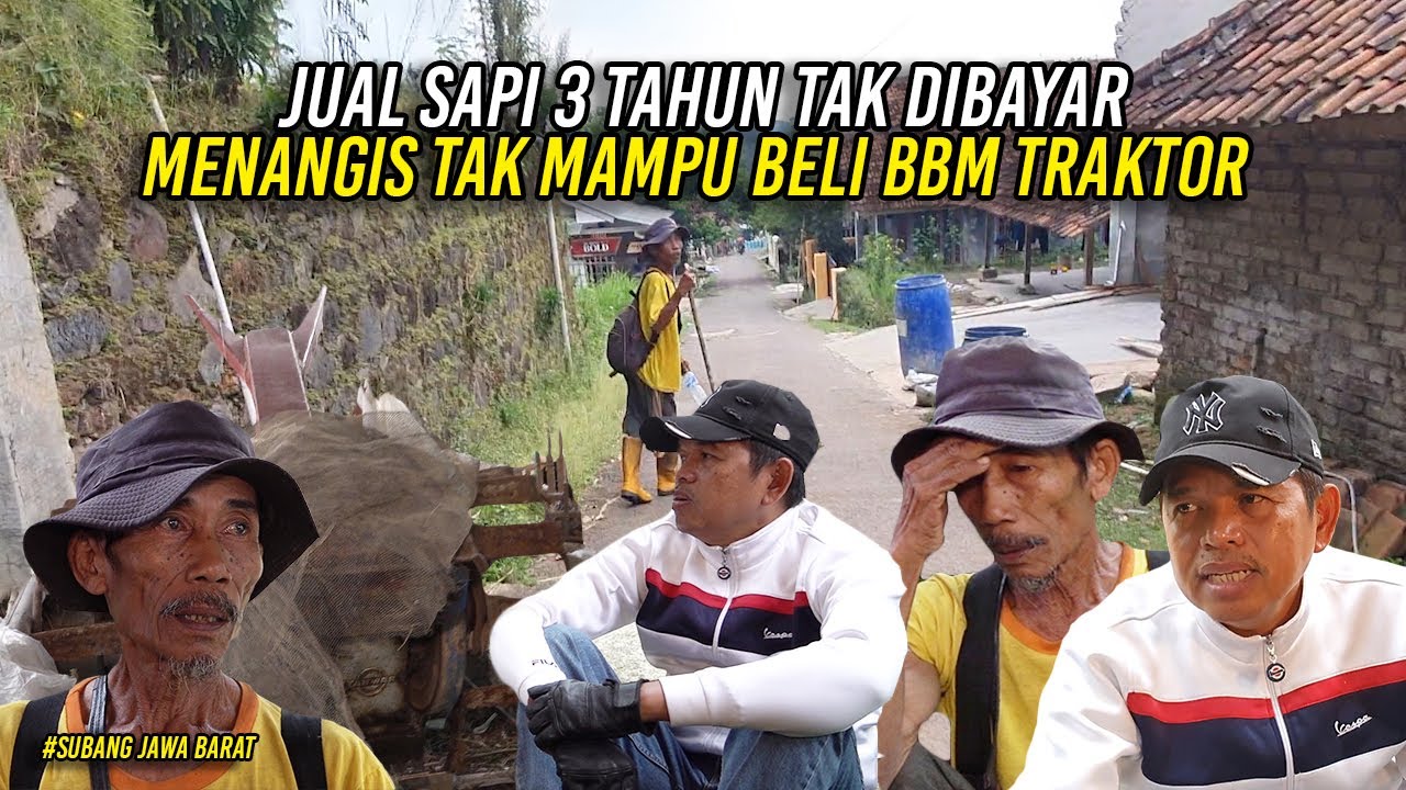 TANGIS BURUH TANI - JUAL SAPI 3 TAHUN TAK DIBAYAR - 40 HARI NYANGKUL TAK MAMPU BAYAR BBM TRAKTOR