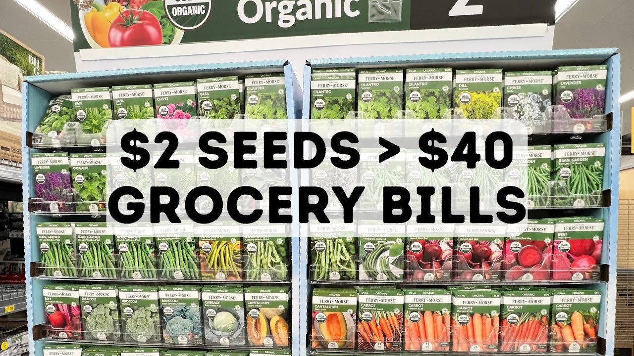 Walmart Ferry Morse Seeds Tour | What to Buy for Beginners + Hidden Gems Under $3