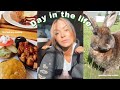 DAILY VLOG: going to lunch, playing at the dog park &amp; cooking dinner | Spend the day with me