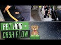 $50/Hour Maintenance Detail | Cleaning DIRTY & HAIRY Carpets with 1 Tool!