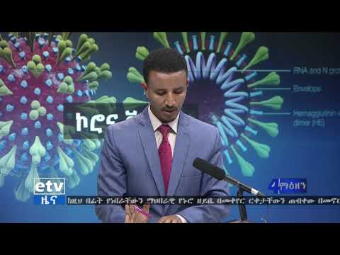 ቪዲዮ: በካሳንድራ ጆንስ የዲጂታል ጭነቶች