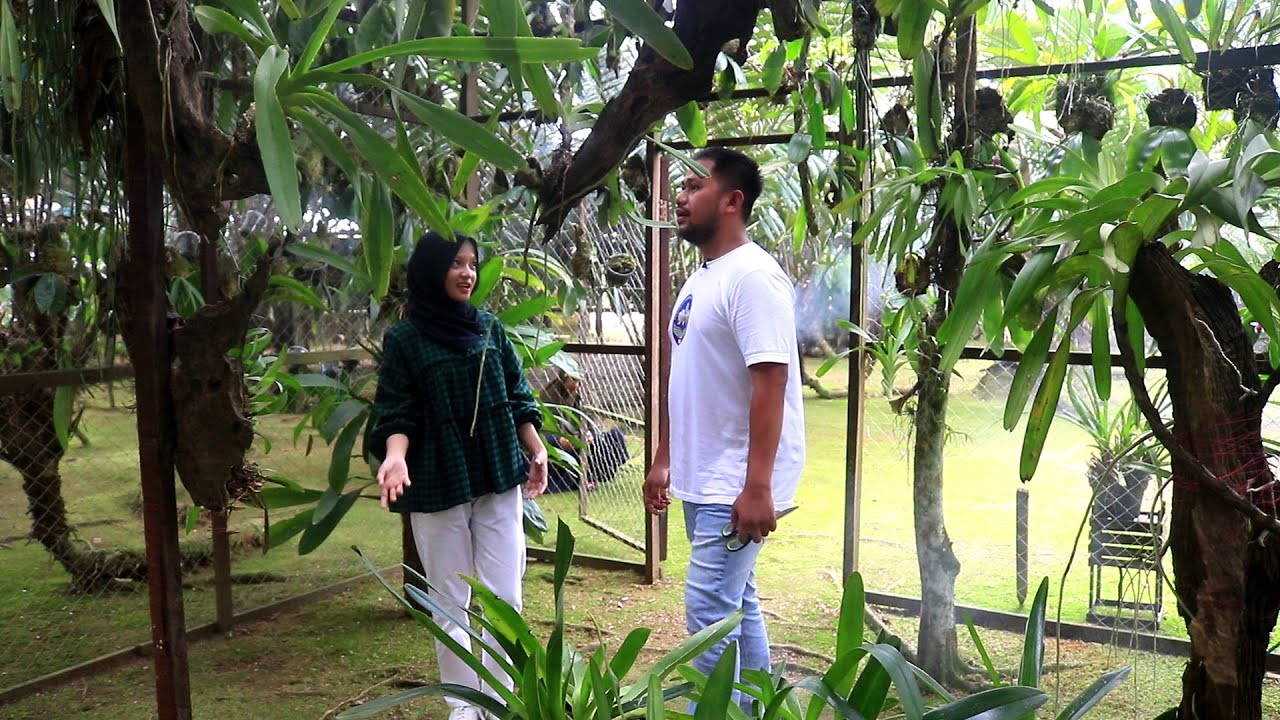 Lestarikan Ribuan Anggrek di Pekarangan Rumah | Warna