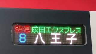 【設定廃止】JR東日本E259系 特急成田ｴｸｽﾌﾟﾚｽ 八王子行き　側面表示