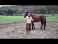 New Guy Horse Lunging-Body language- Hooking Up- Rick Gore Horsemanship